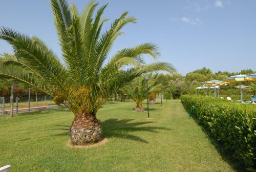 Agroturismo Il Girasole