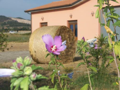 Agroturismo Agriturismo La Nocciolina