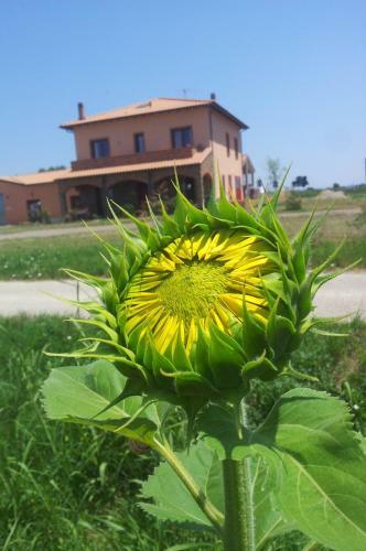 Agroturismo Agriturismo La Nocciolina