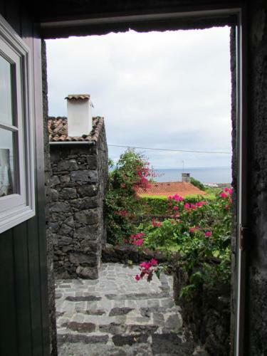 Hostal Casas De Campo Housesinpico