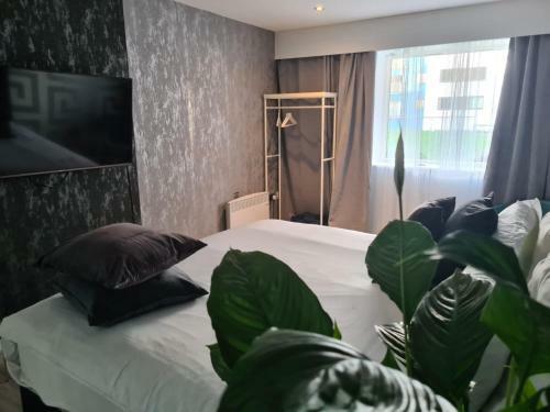 The Exclusive Jacuzzi Apartments