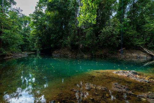 Drake Bay River View - Glamping Eco Lodge