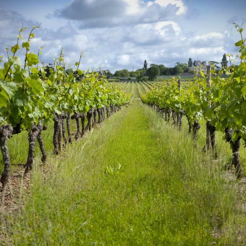 Bed & Breakfast Ch�teau Soucherie