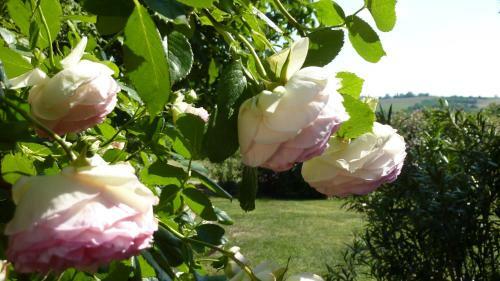 Bed & Breakfast Chambres D'h�tes La Treille