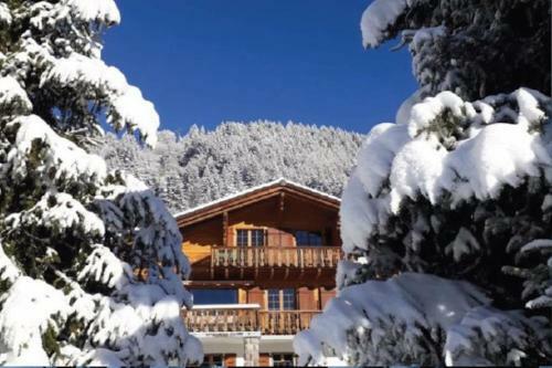 Chalet La Chamoissette With Panoramic Views
