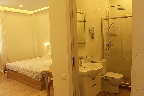 A Class Apartments In Old Tbilisi Shardeni