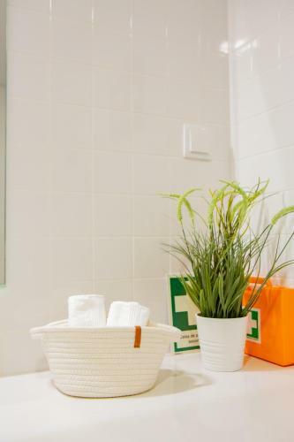 Apartamento Souto Dreams