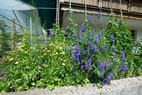 Apartamento Mateja House