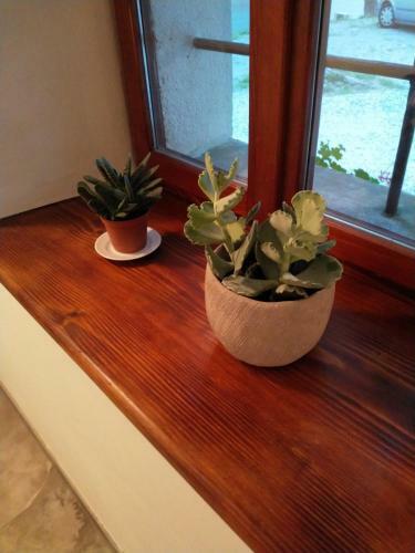 Apartma Pri Kova?iji