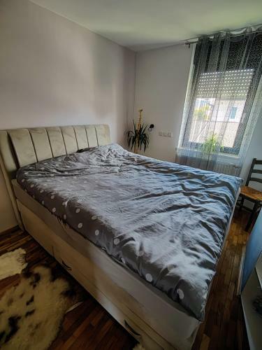 Apartma Ajja