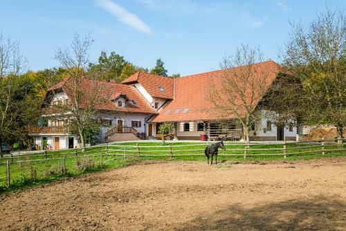 Apartment Zynga - Stud Farm