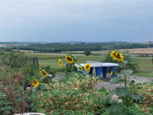 Domaine Des Cadets De Gascogne