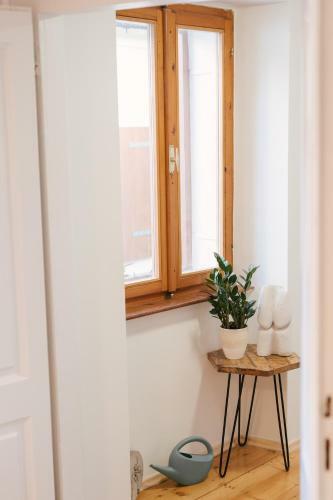 Apartamento Guest House Rosemary