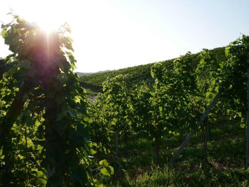 Apartamento Holiday Home Winzerhaus Eva