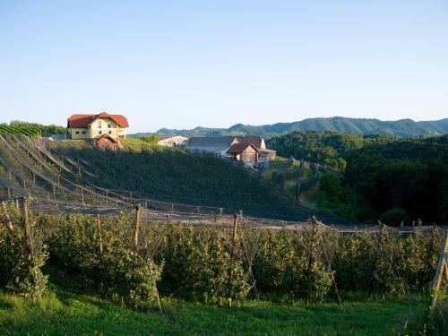 Apartamento Holiday Home Winzerhaus Eva