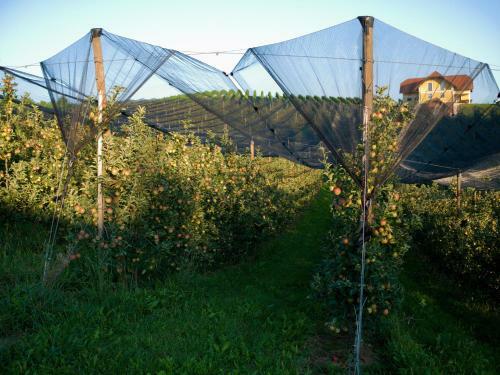 Agroturismo Vdovi? Guest House
