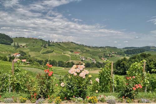 Agroturismo Farm Stay Jarc Vineyard