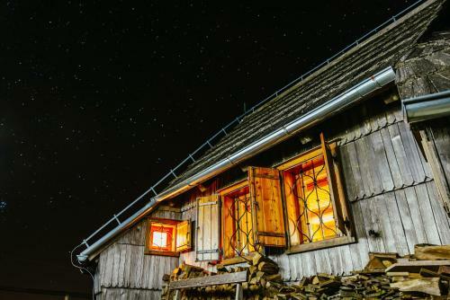 Ko?a Ojstrica - Velika Planina