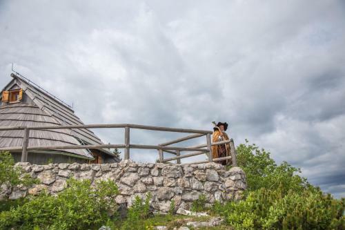 Ko?a Ojstrica - Velika Planina
