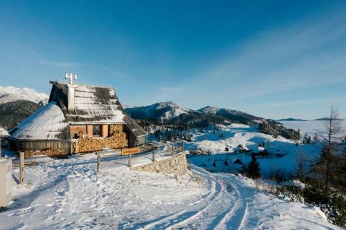 Ko?a Ojstrica - Velika Planina