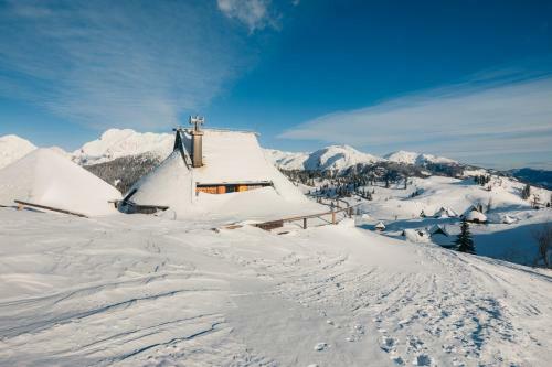 Ko?a Ojstrica - Velika Planina