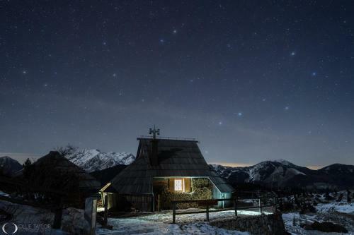 Ko?a Ojstrica - Velika Planina
