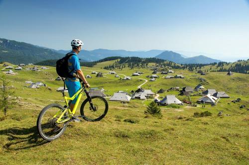 Ko?a Ojstrica - Velika Planina