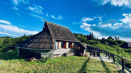 Ko?a Ojstrica - Velika Planina