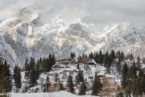 Ko?a Ojstrica - Velika Planina