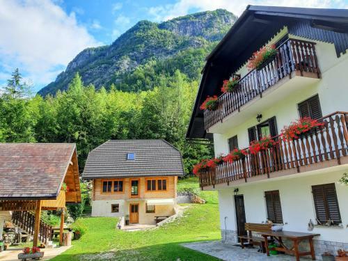 Apartments And Rooms Kravanja