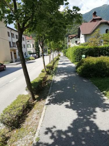 Apartamento Naturalina