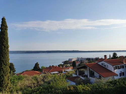 Apartamento Vila Rosa
