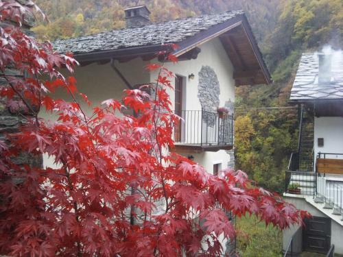 Albergue Ostello Lou Cr�ton Di Lui