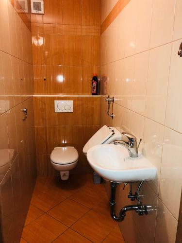 Apartmaji Zlata Lisi?ka