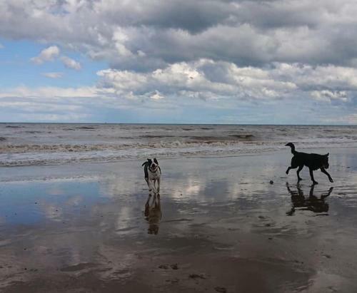 The Sun Trap @ Bridlington's Bed & Bowl Beach Breaks