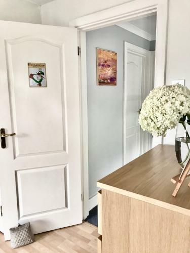 Hostal Fox View Guesthouse
