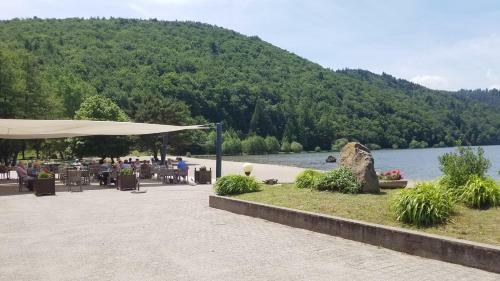 Hotel H�tel Domaine Du Lac Chambon