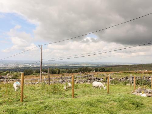 Penrallt Fawr
