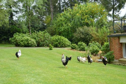 Bed & Breakfast La Grange Des Marettes