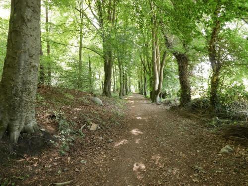 Wood End