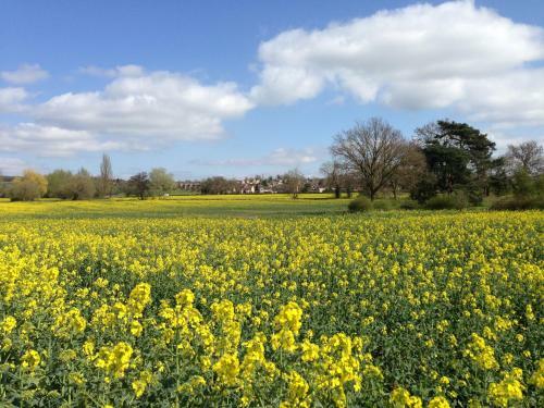 Kedleston View B&B