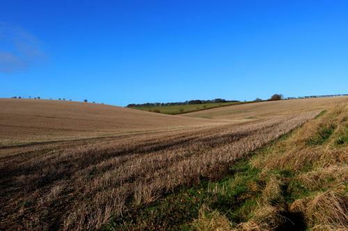 Crossways Self-catering Cottage - Self Contained