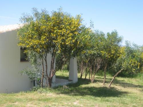 Hotel Albergo Rurale Borgo Alba Barona