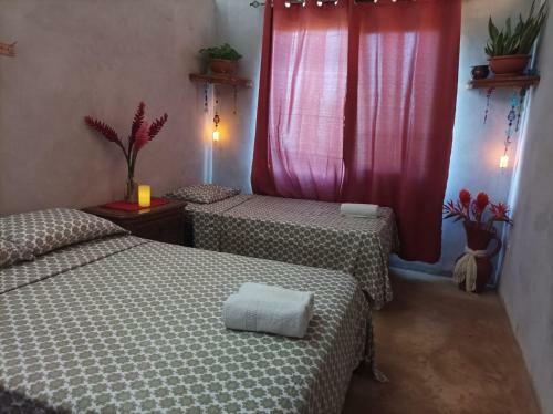 Casa de Monta�a Amapola