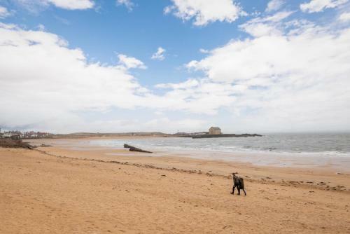 Lovely 2 Bedroom Apartment In Elie