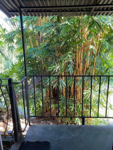 Apartamento Habitaci�n Privada Completamente Equipada Con Peque�a Terraza