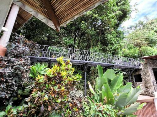 Villa Casa Castillo, 3 Or 6 Bdr, Manuel Antonio, Ocean View