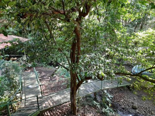 Apartamento Casa Escondida #1 ( Jungle View )