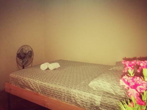 Apartamentos Morpho Cr 2