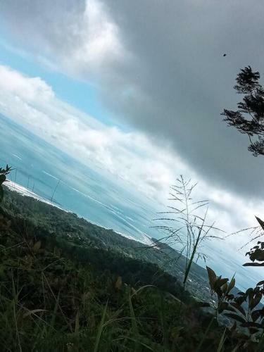 Apartamento Casitas Ballena